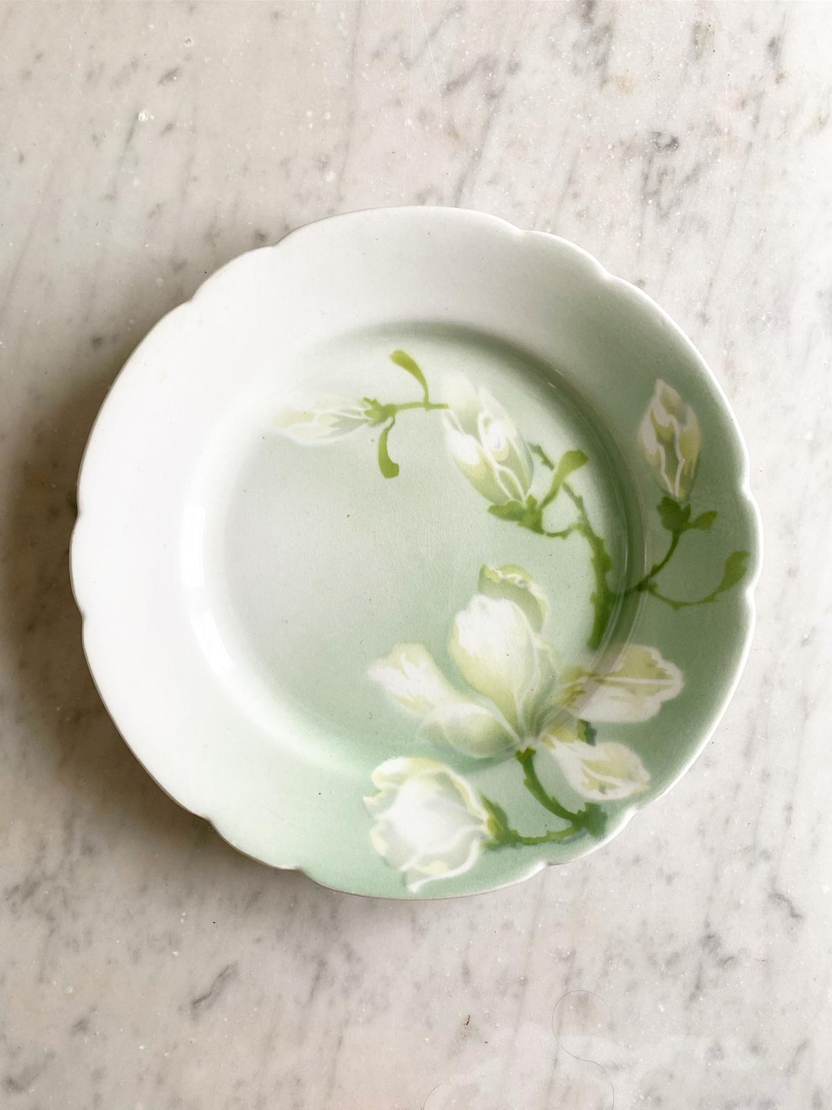 Magnolia
