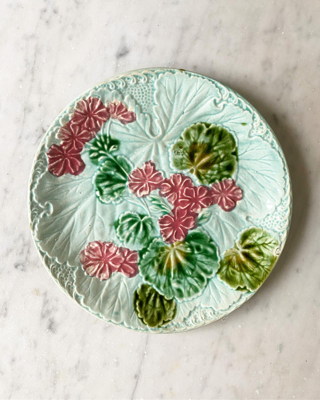 Geranium