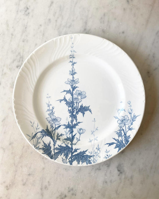 Assiette plate Minerve de Lunéville terre de fer