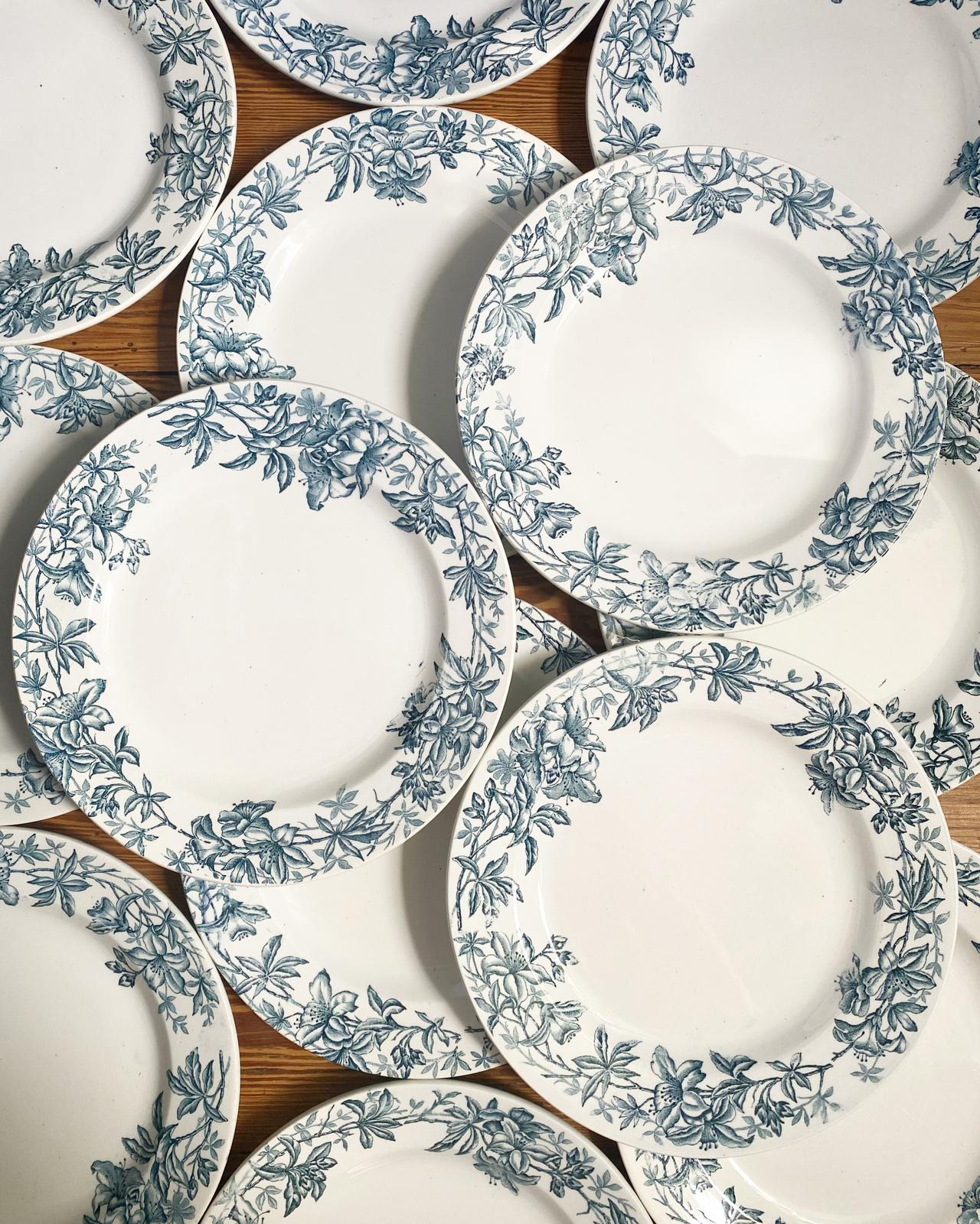Assiette plate Jouvence de Clairefontaine terre de fer