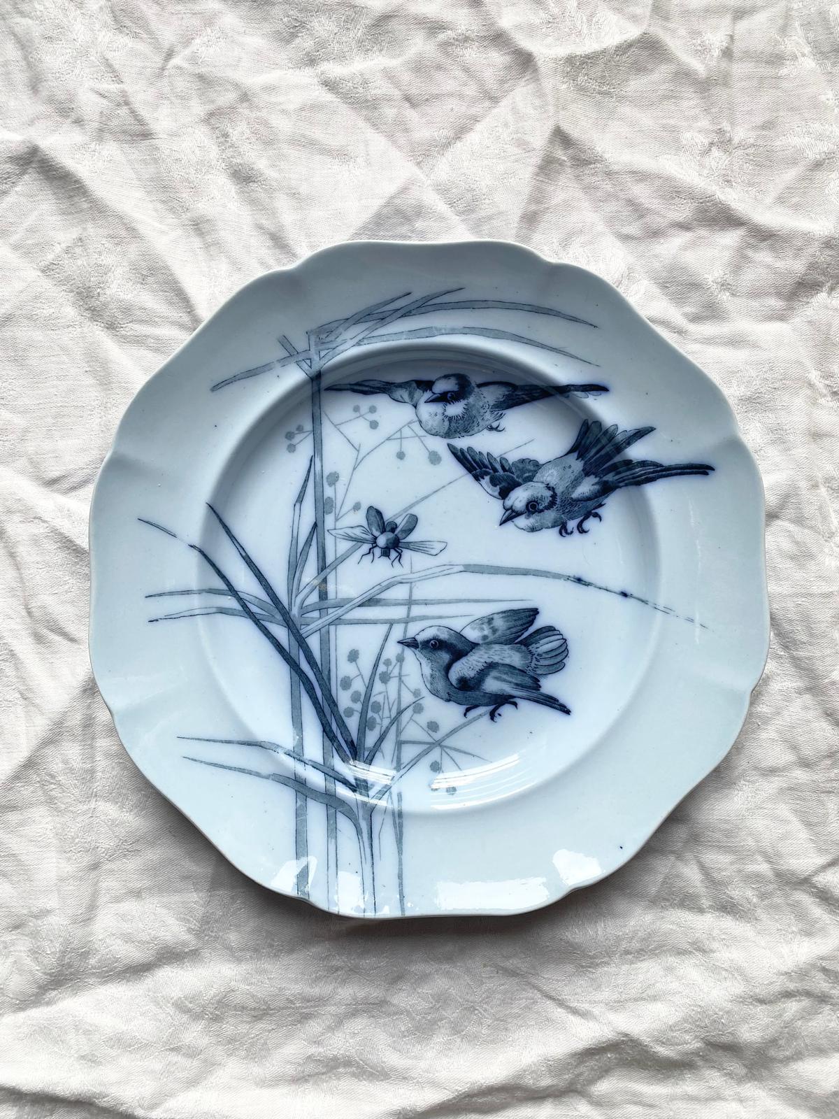 Canova (Lot de 5)