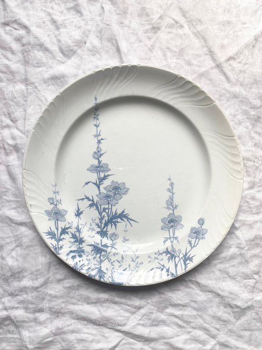Plat Minerve de Lunéville