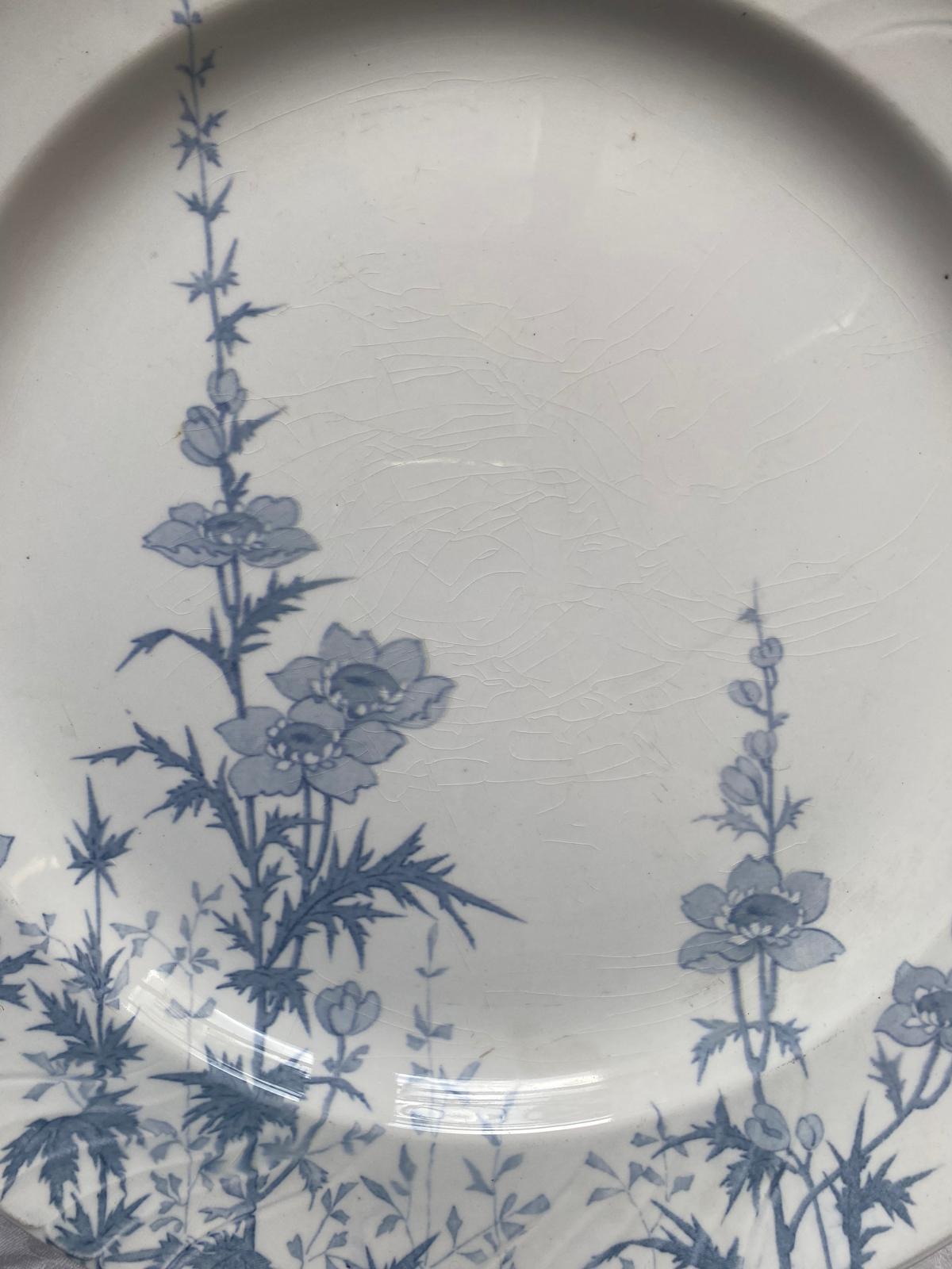 Plat Minerve de Lunéville