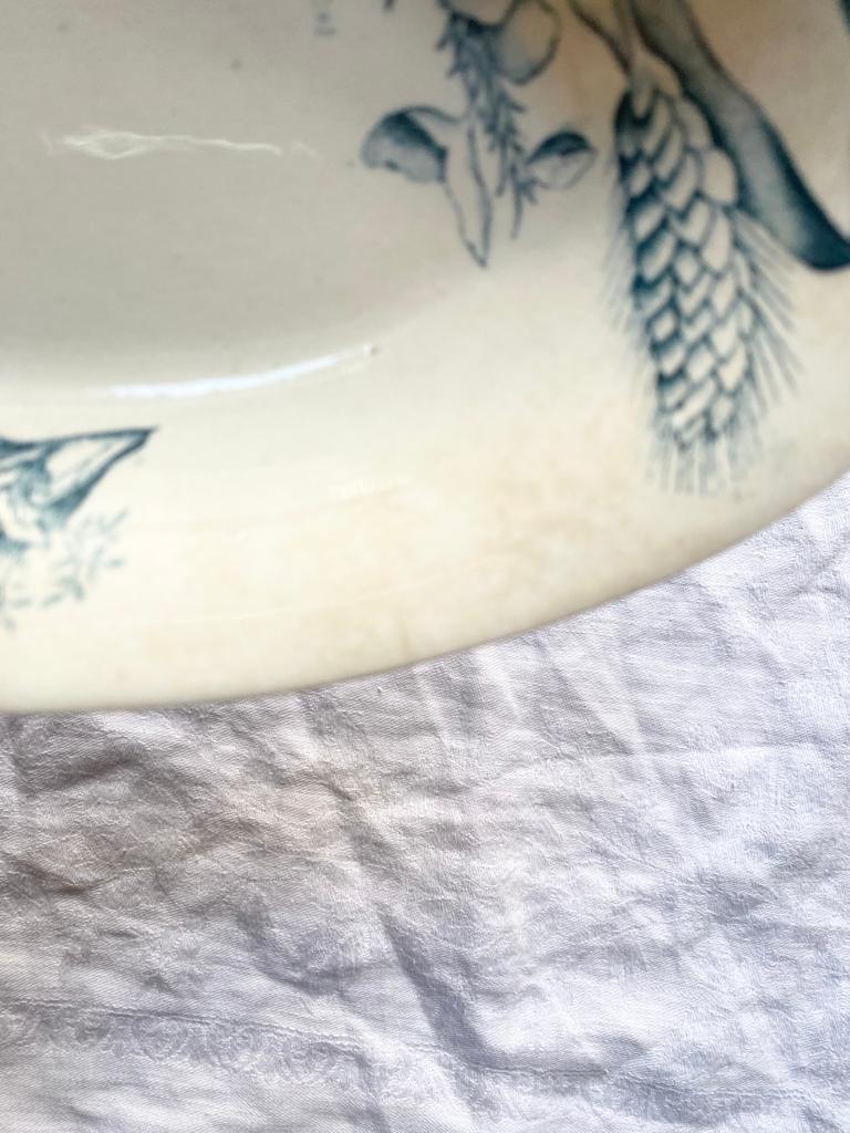 Epis de blé