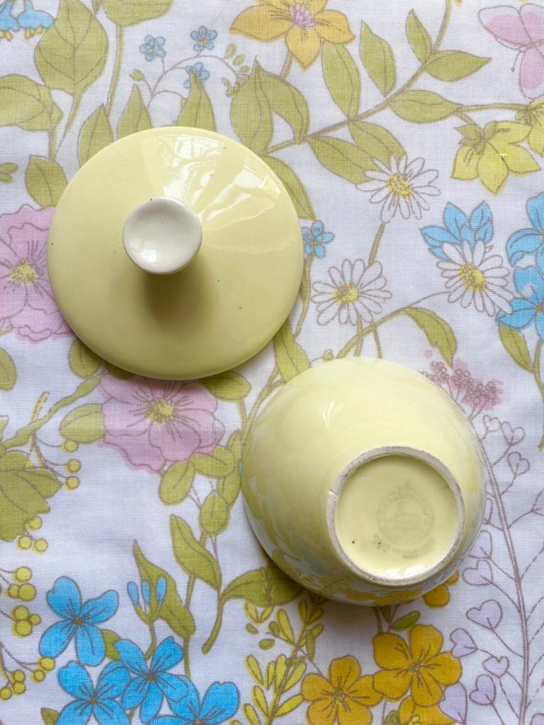 Sucrier jaune Royal Sphinx Maastricht