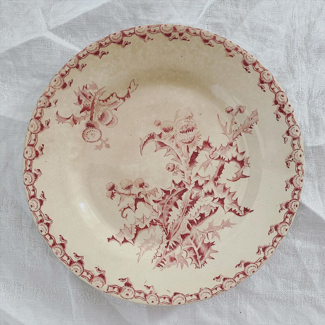 Assiette creuse terre de fer Chardons Gien