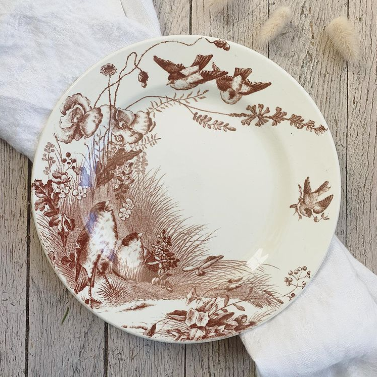 Assiette Oiseaux Vieillard terre de fer