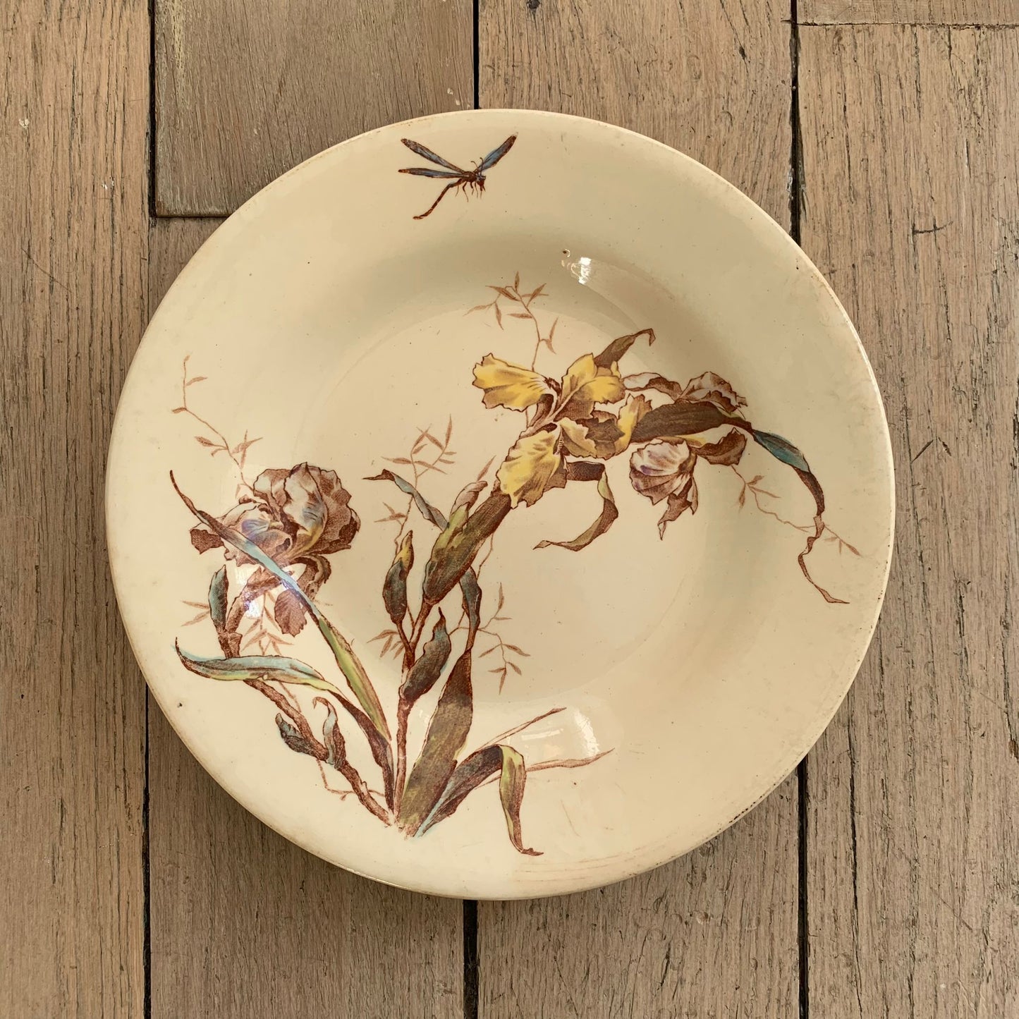 Assiette creuse terre de fer Iris Gien polychrome