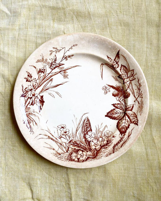 Assiettes plate Primrose F&Co