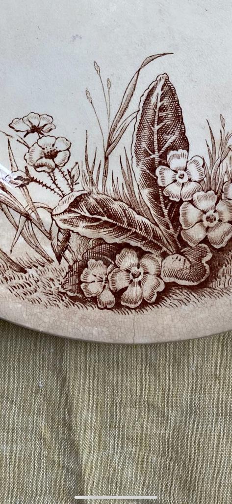 Assiettes plate Primrose F&Co