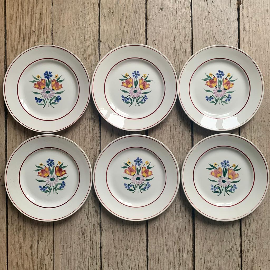Lot de 6 assiettes à dessert modèle Arlette Céranord St Amand