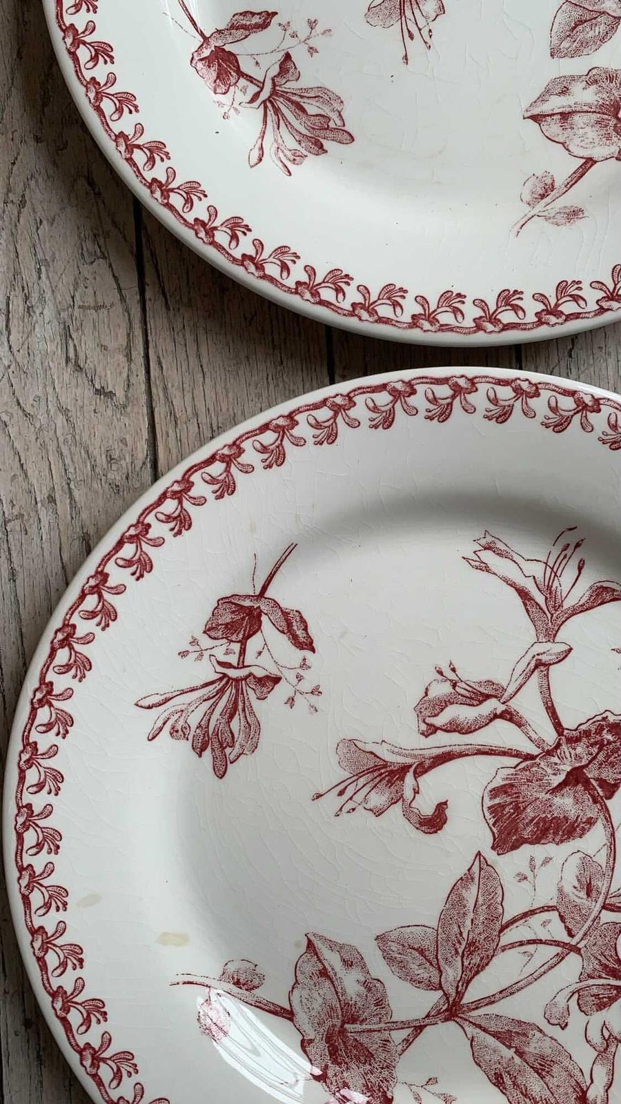 Chèvrefeuille Assiette terre de fer rouge Gien France vintage