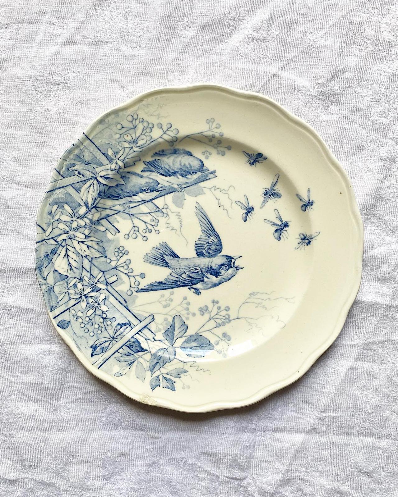 Assiette terre de fer Spring Service Clairefontaine