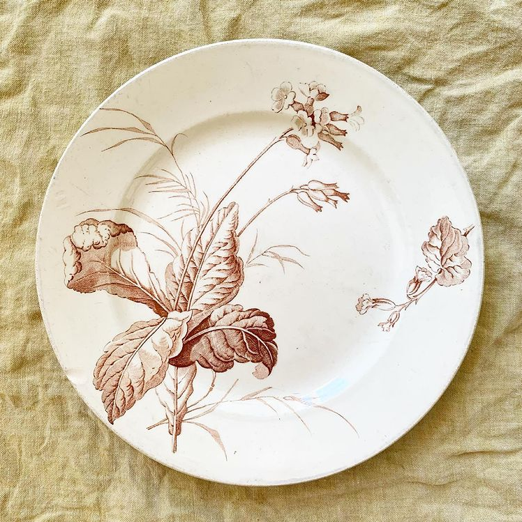 Assiette terre de fer sépia botanique