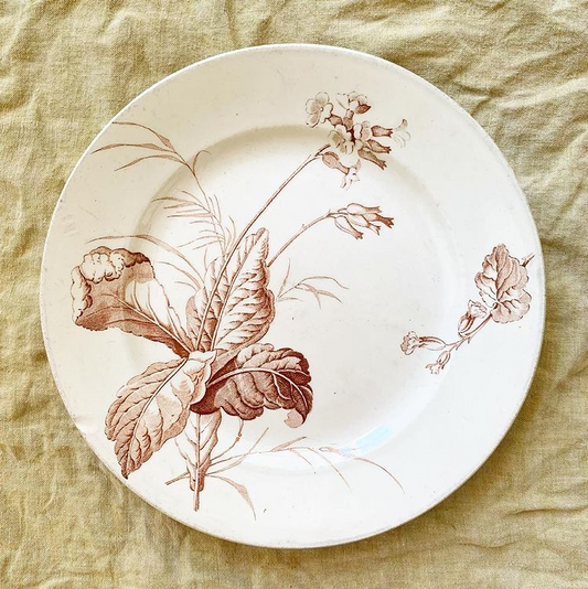 Assiette terre de fer sépia botanique