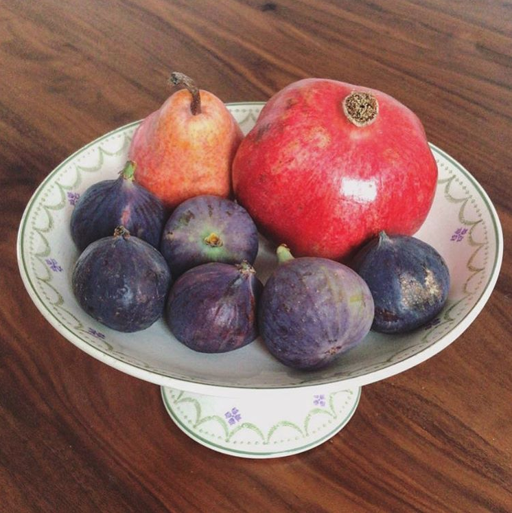 Compotier terre de fer Violetta Longwy
