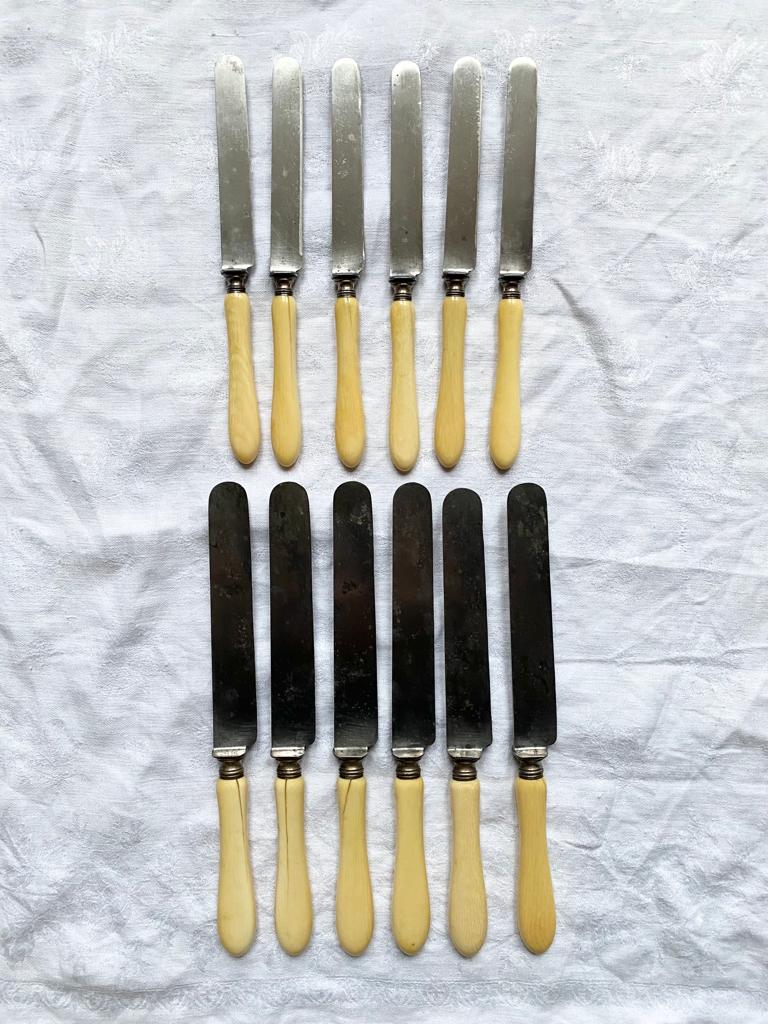Bone