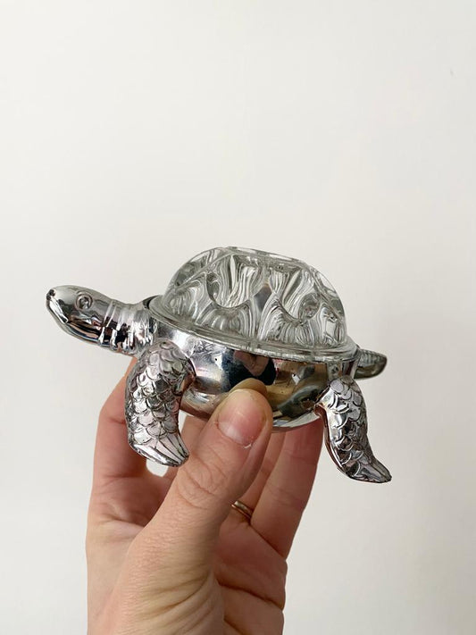 Tortue