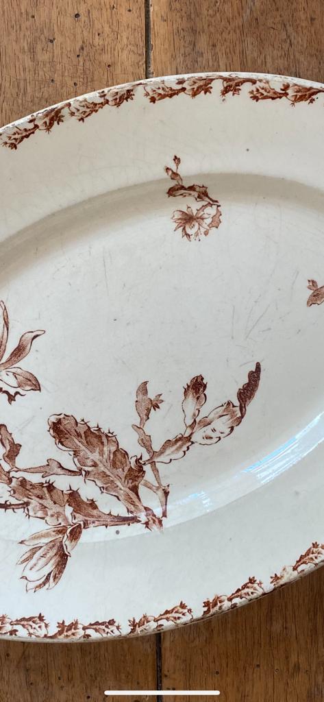 Plat terre de fer Sepia Cactus Gien