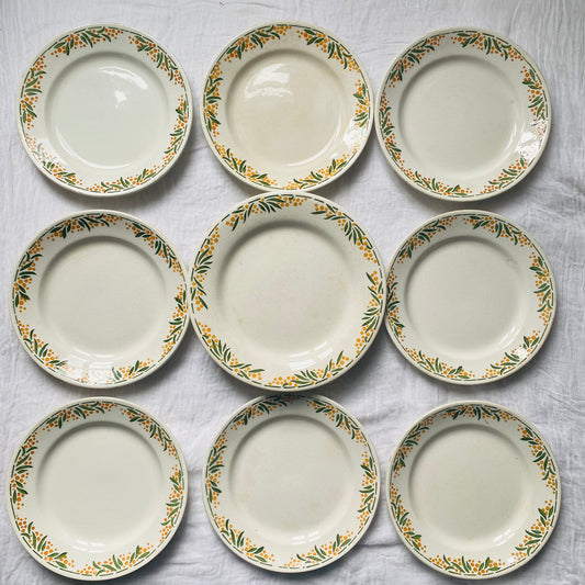 Mimosa (lot de 8 + 1 assiette sur pied)