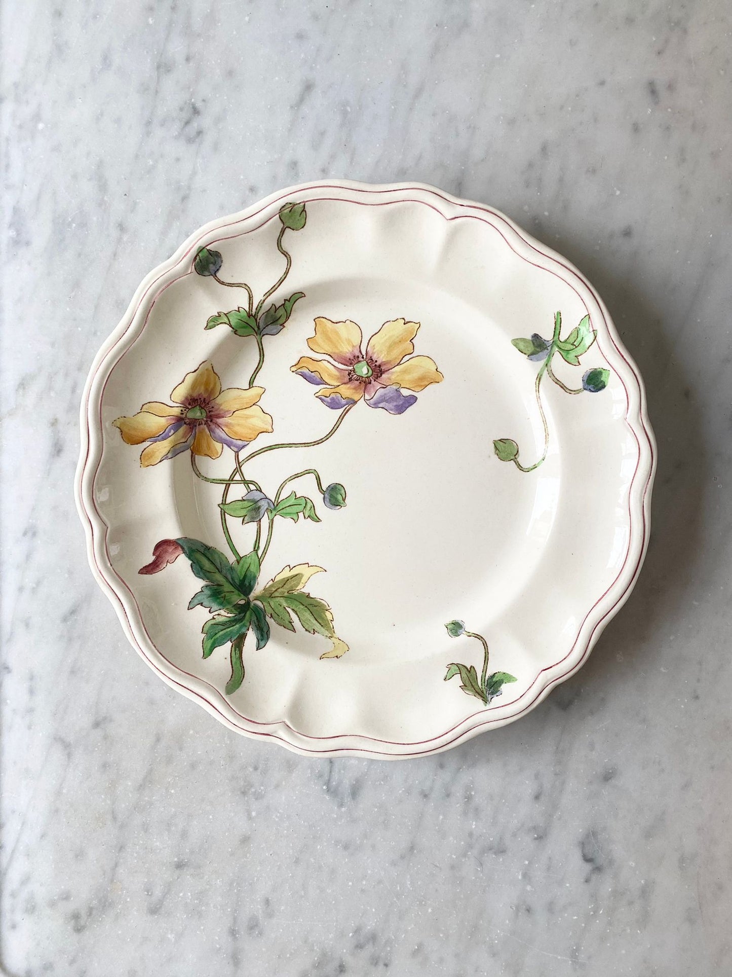 Assiette plate en terre de fer polychrome de Longchamp