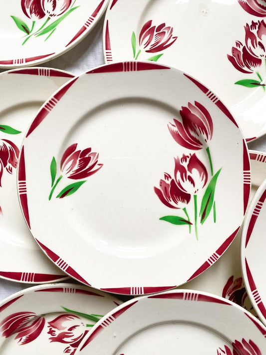 Tulipes