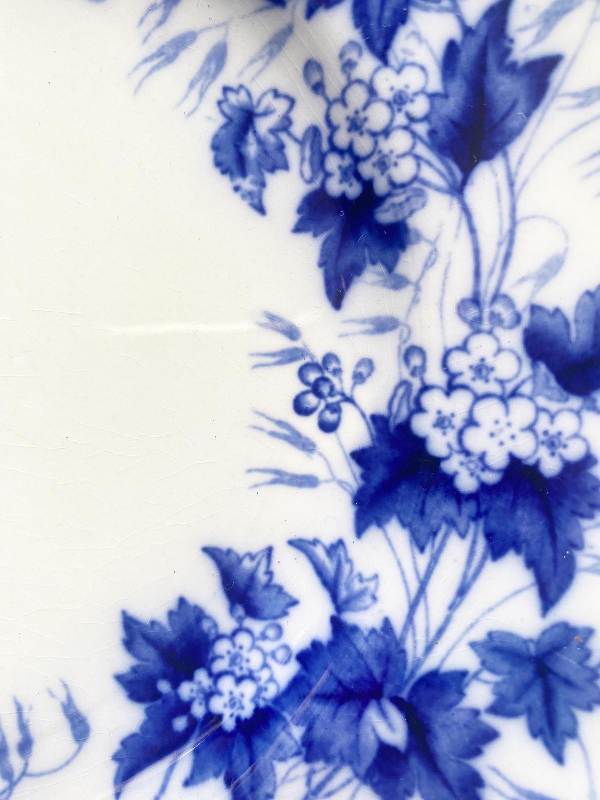 Flora Aubépine