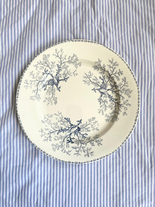 Assiette plate terre de fer Coquillage
