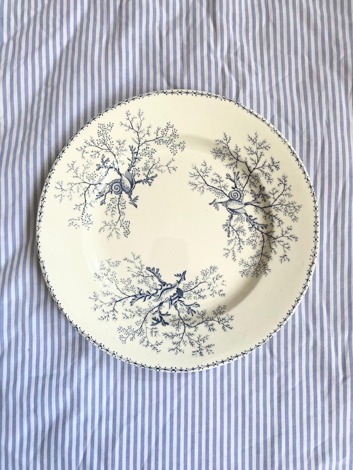 Assiette plate terre de fer Coquillage