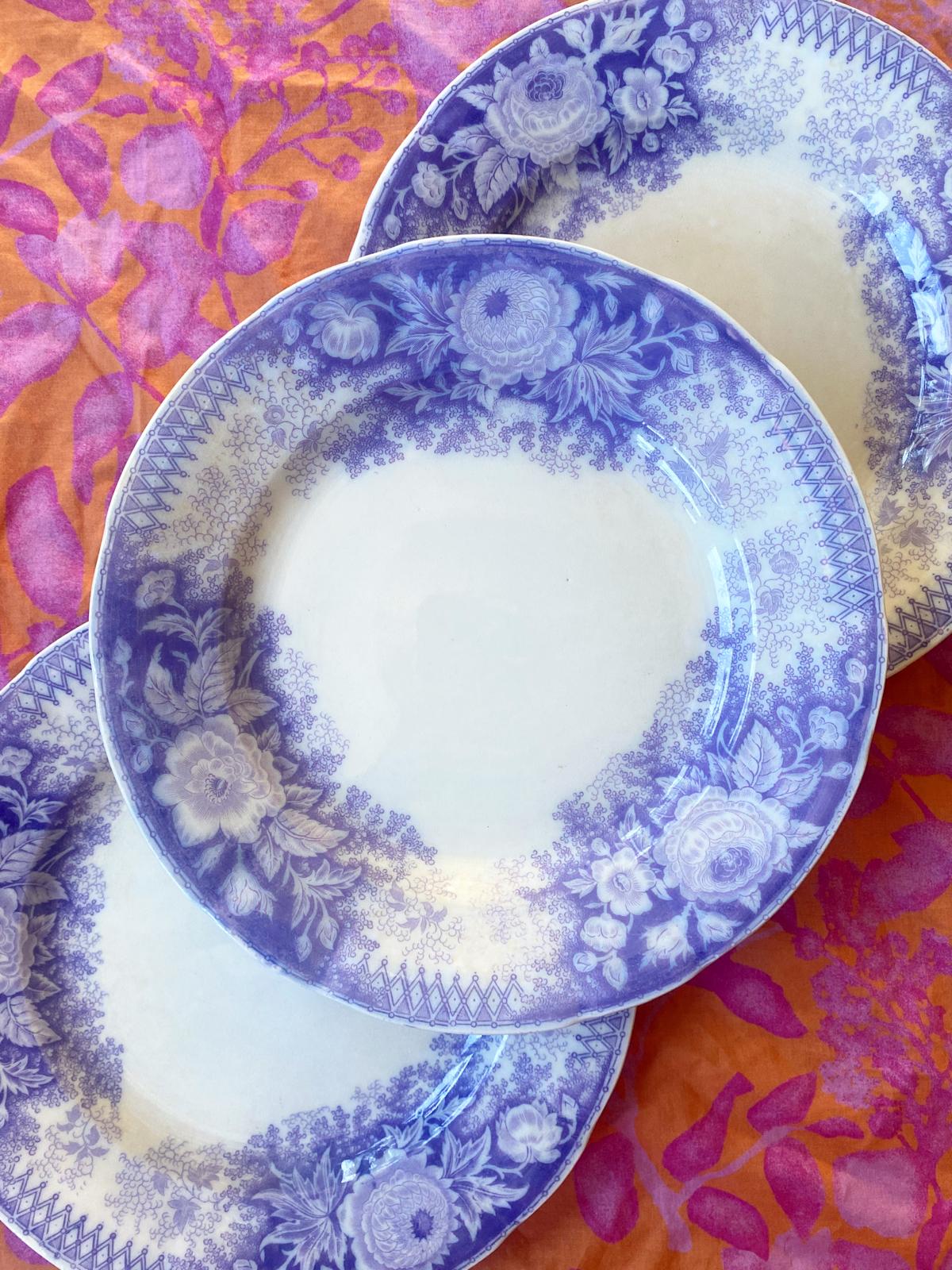 Assiette plate Jardinière de Sarreguemines terre de fer