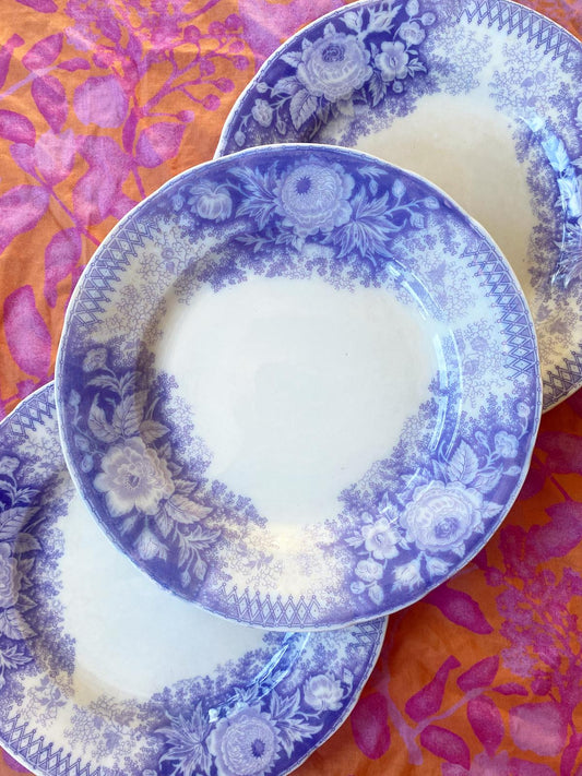 Assiette plate Jardinière de Sarreguemines terre de fer