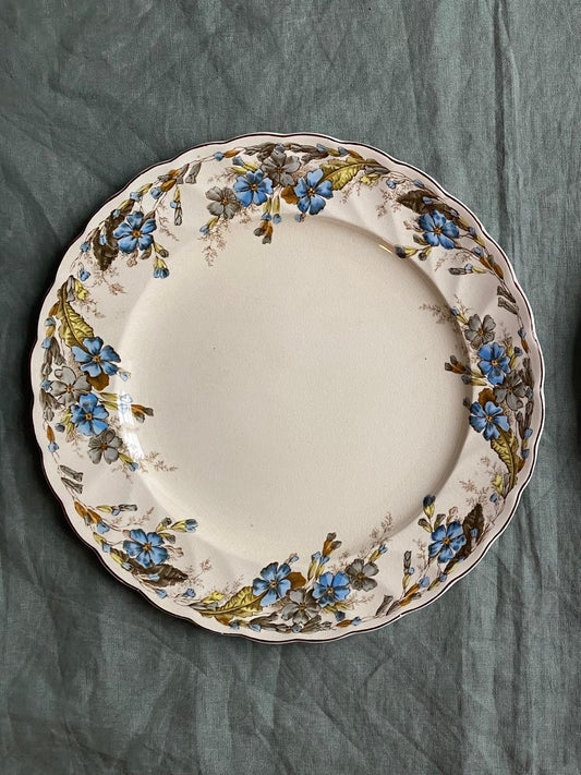 Assiette plate Primrose de PB&S faience anglaise