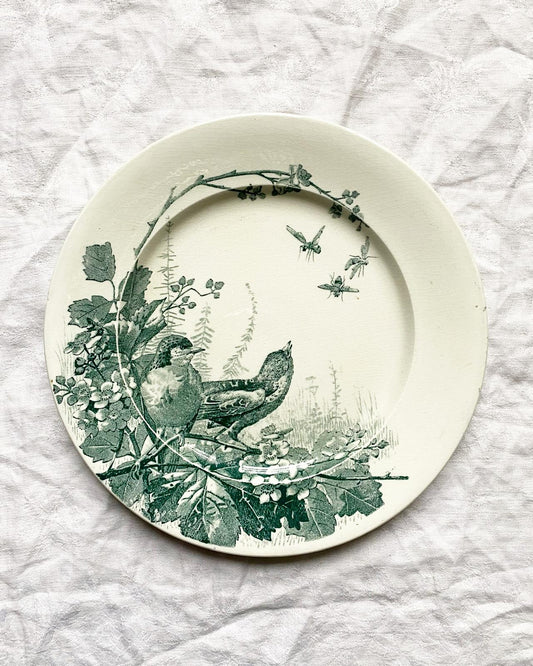 Assiette plate en terre de fer verte Oiseaux de Vieillard