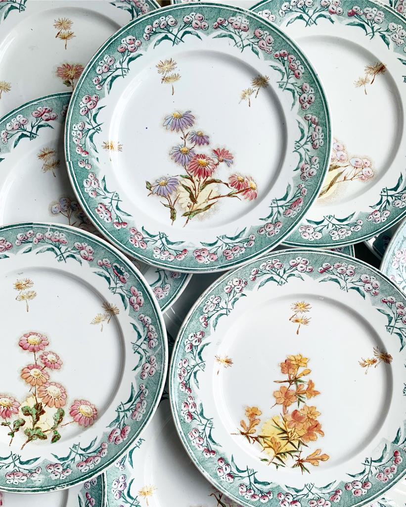 Assiettes plates René de Creil et Montereau