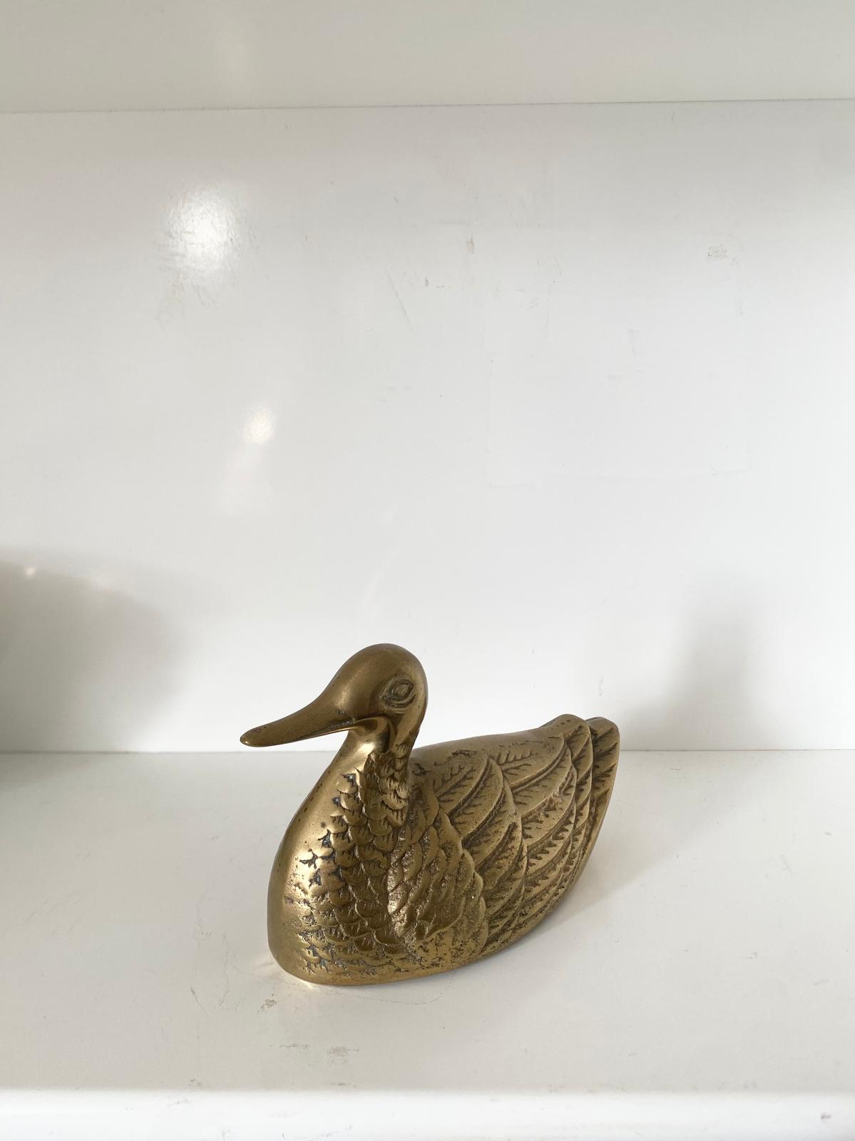 Canard