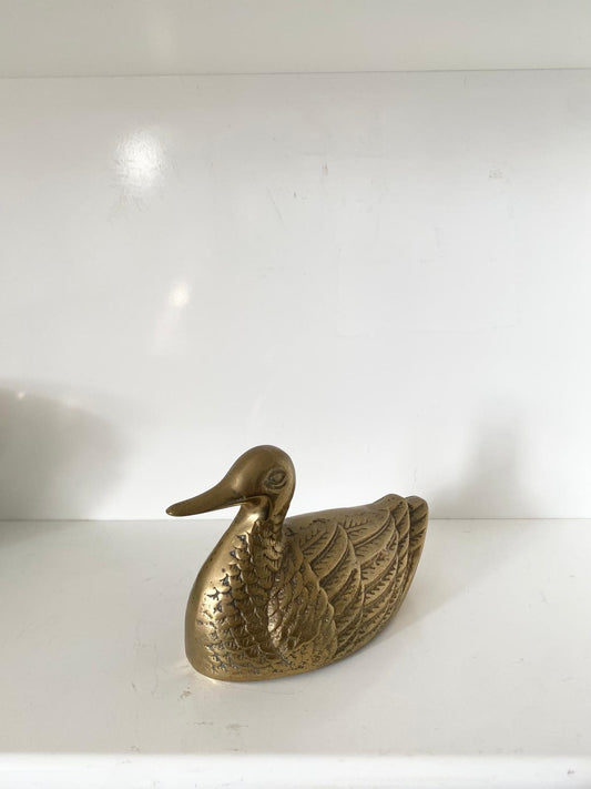 Canard