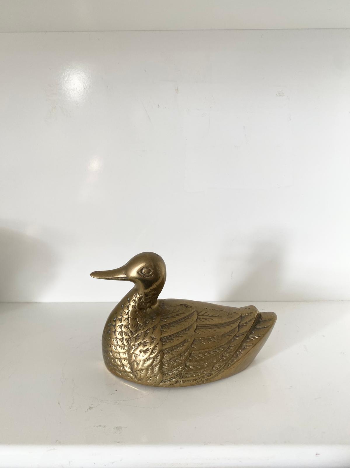 Canard