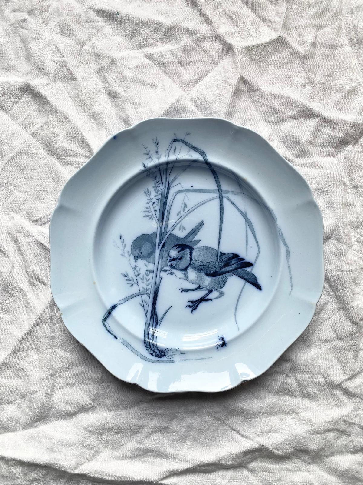 Canova (Lot de 5)