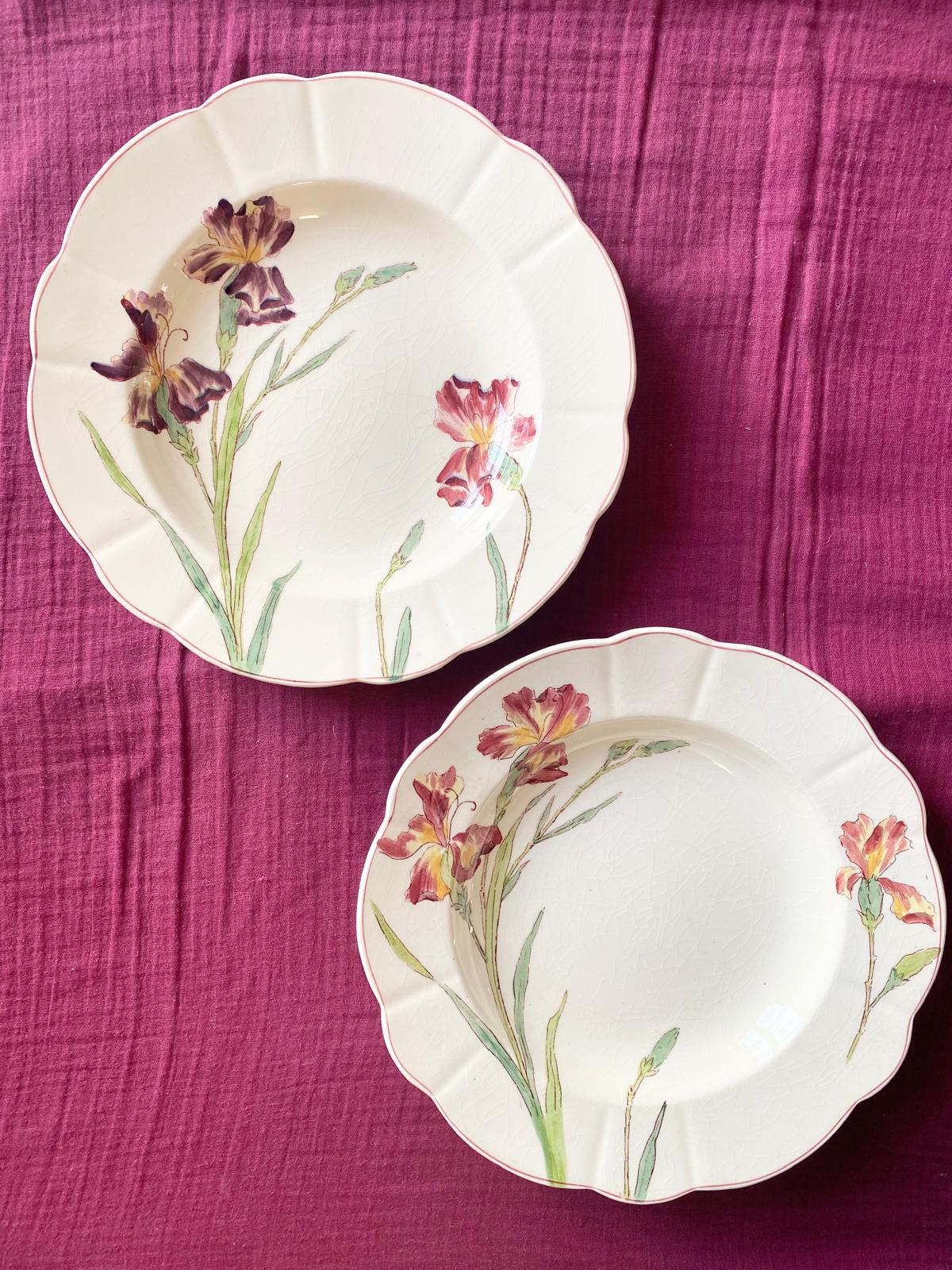 Lot de 2 assiettes creuses en terre de fer polychrome Iris de Longchamp
