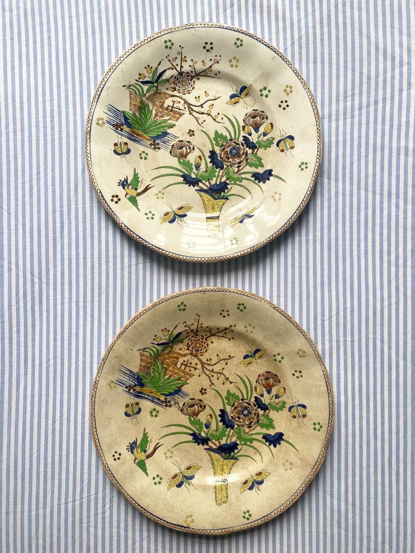 Fleurs et insectes (lot de 2)