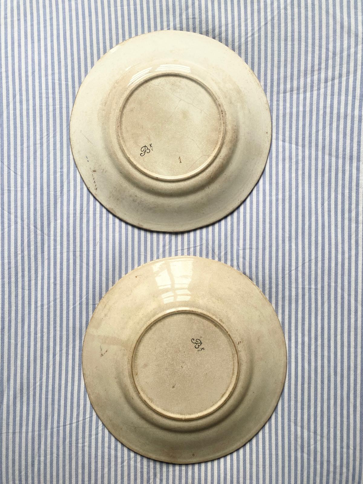 Fleurs et insectes (lot de 2)