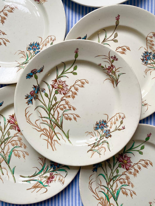 Lot de 6 assiettes à dessert en terre de fer polychrome Bleuet de Lunéville