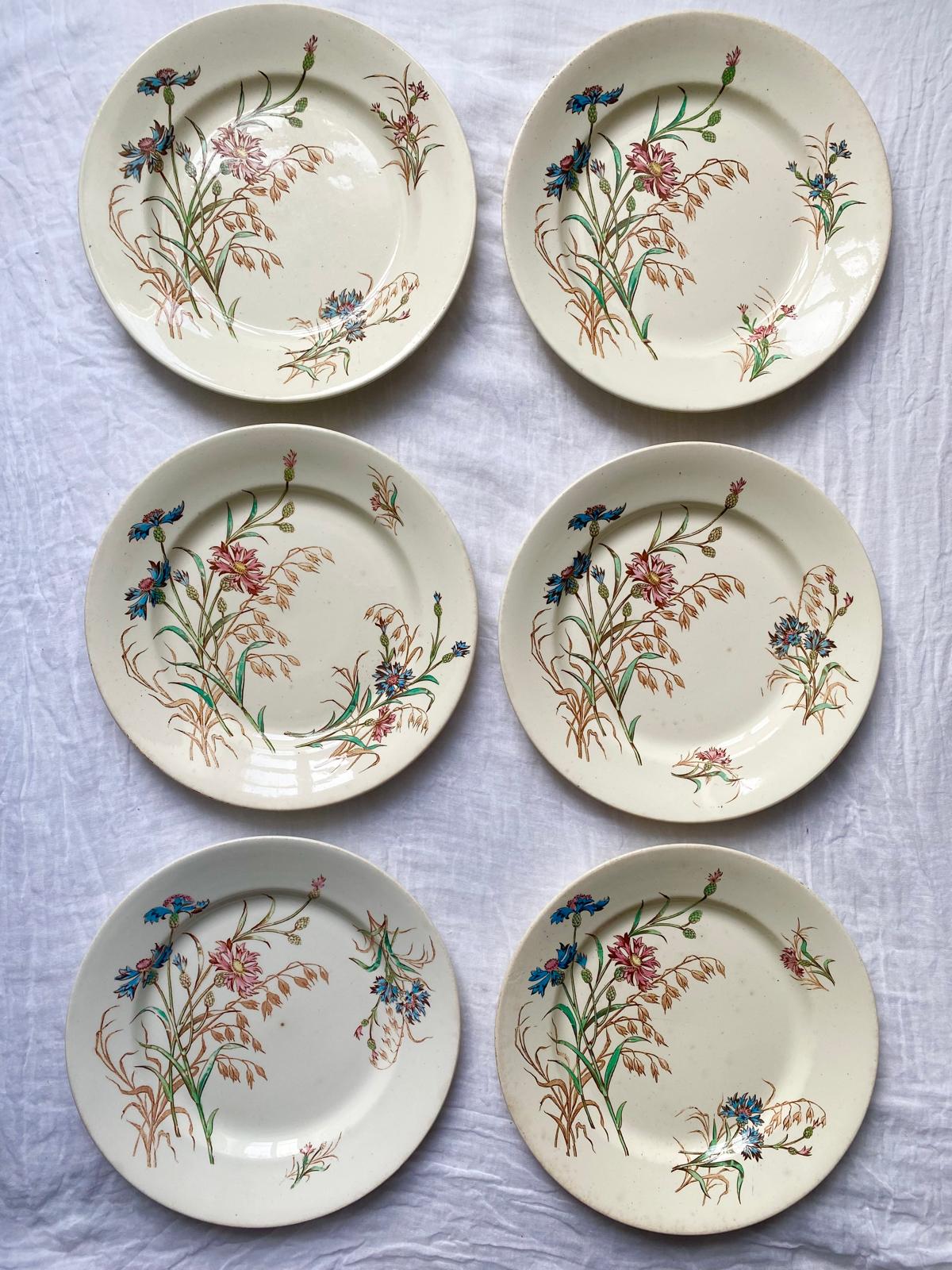 Lot de 6 assiettes à dessert en terre de fer polychrome Bleuet de Lunéville