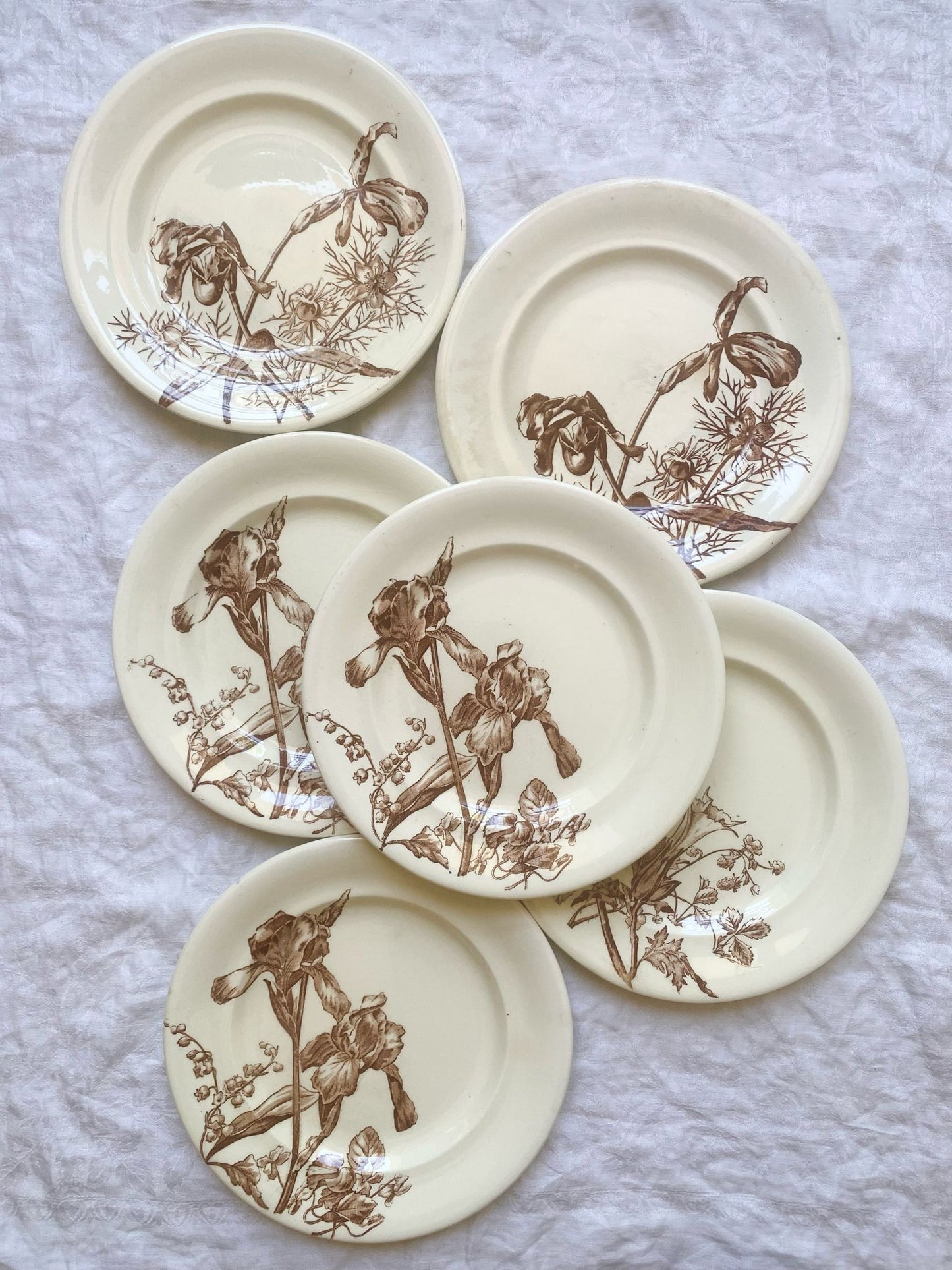 Fleurs (lot de 6)