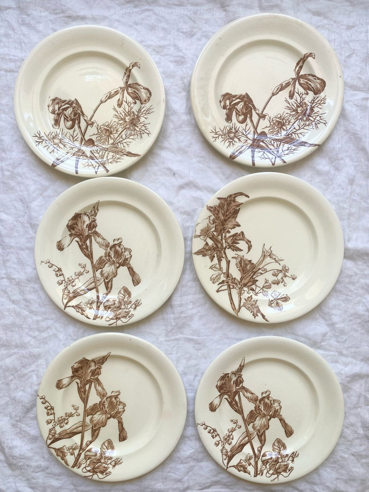 Fleurs (lot de 6)