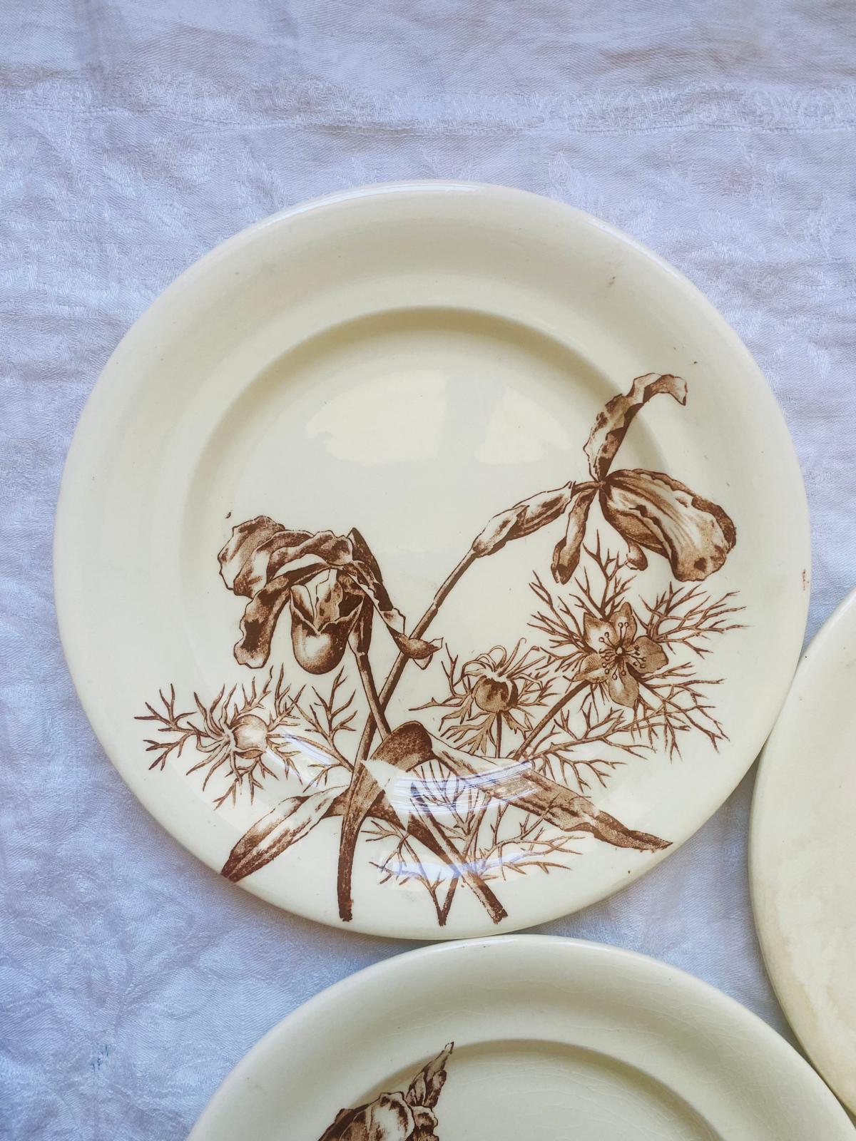 Fleurs (lot de 6)
