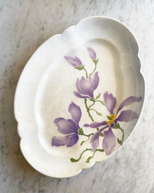 Magnolia