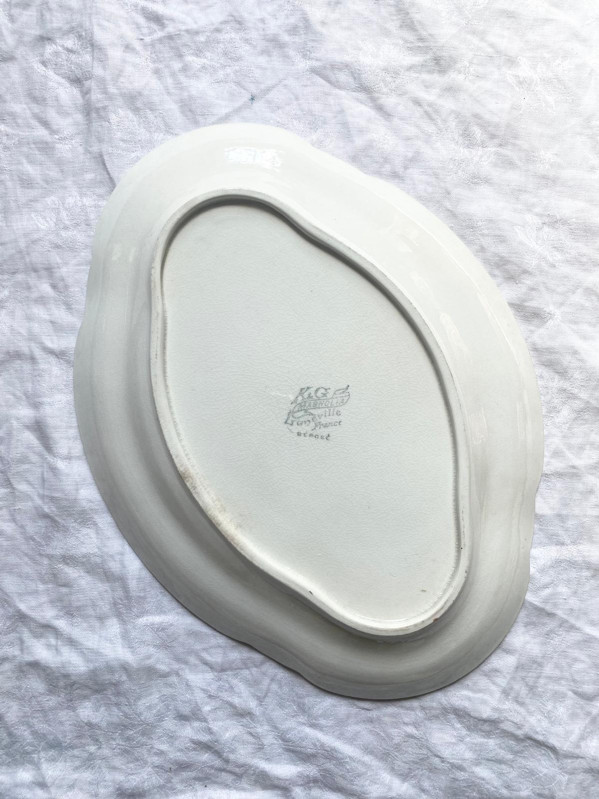 Magnolia
