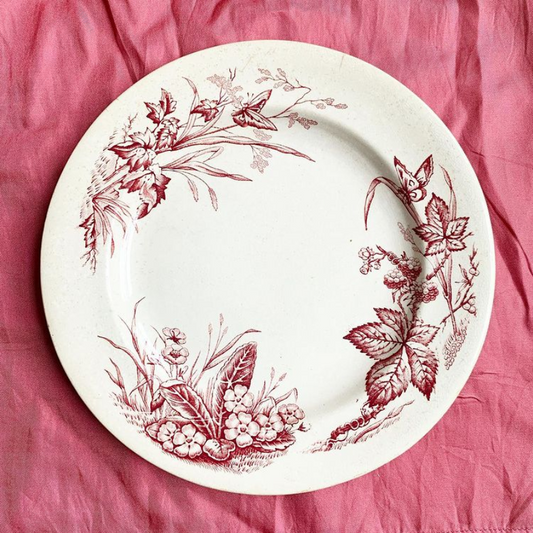 Assiette à dessert terre de fer anglaise Primrose F&Co vintage