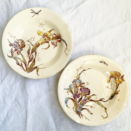 Assiettes creuses terre de fer polychrome Gien Iris